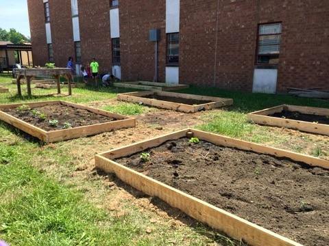 FFA garden at SEMS